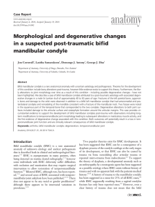 Morphological and degenerative changes in a suspected post
