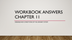 WORKBOOK ANSWERS CHAPTER 11