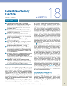 Evaluation of Kidney Function