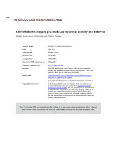 in cellular neuroscience