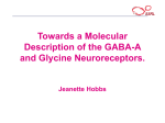 Towards a Molecular Description of the GABA