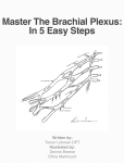 Master The Brachial Plexus: In 5 Easy Steps