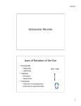 Extraocular Muscles