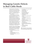 P2622 Managing Genetic Defects in Beef Cattle Herds