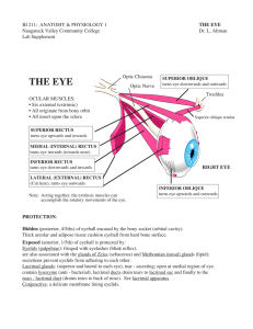 EYE - lawrenceGaltman.com