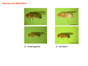 species1