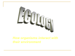ecology10