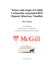 Nature and origin of Lofdal Carbonatite associated REE Deposit