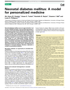Neonatal diabetes mellitus: A model for personalized medicine