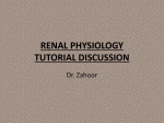 renal physiology tutorial discussion