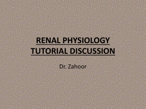 renal physiology tutorial discussion