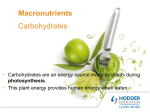 Macro nutrient Carbohydrates