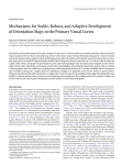 Mechanisms for Stable, Robust, and Adaptive Development of