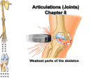 Articulations (Joints) Chapter 8