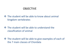 The student will be able to know about animal kingdom