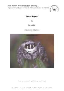 Taxon Report - Spider Recording Scheme