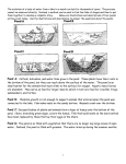 Ecological Succession Worksheet