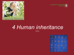 Human inheritance