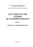 lectures on the course
