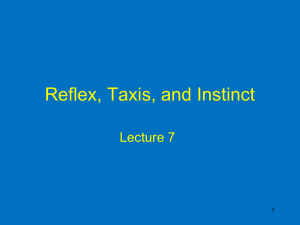 Reflex, Taxis, and Instinct