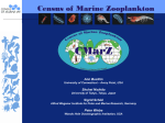 2 new species - Census of Marine Life Secretariat