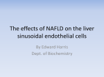 The effect of NAFLD on the sinusoidal endothelial cells
