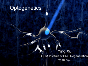 Optogenetics