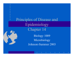 Principles of Disease and Epidemiology Chapter 14