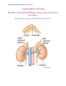 ENDOCRINE SYSTEM Disorders of the Adrenal Glands: An
