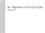 5e. Regulation of the Cell Cycle