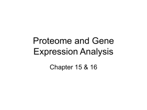 Proteome and Gene Expression Analysis