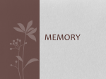 Memory