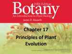 Slide set 2 – Plant Evolution and diversity