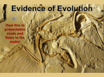 Evidence of Evolution - Sonoma Valley High School