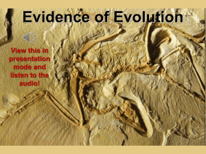 Evidence of Evolution - Sonoma Valley High School