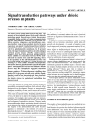 Signal transduction pathways under abiotic stresses in plants