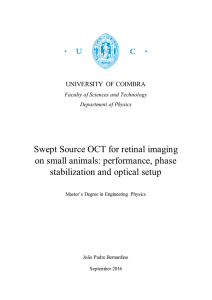 Swept Source OCT for retinal imaging on small animals