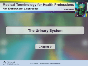 TREATMENT PROCEDURES OF THE URINARY SYSTEM