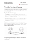 Thyroid or Parathyroid Surgery - Patient Education