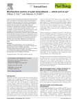 Biochemical control of xylan biosynthesis — which end is up?