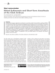 Ethical Euthanasia and Short-Term Anesthesia of the Chick