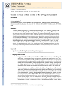 Central nervous system control of the laryngeal muscles in humans