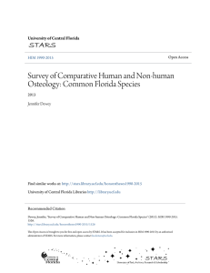 Survey of Comparative Human and Non-human Osteology