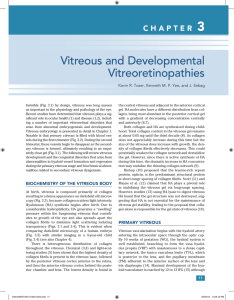 Vitreous and Developmental Vitreoretinopathies