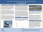 Impact of human disturbance on migratory waterfowl