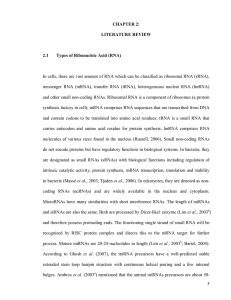 5 CHAPTER 2: LITERATURE REVIEW 2.1 Types of Ribonucleic
