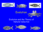 Evolution PowerPoint in PDF