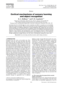 Cortical mechanisms of sensory learning and object recognition