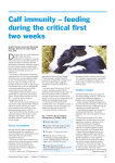 Calf immunity – feeding during the critical first two weeks