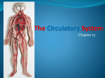 The Circulatory System2